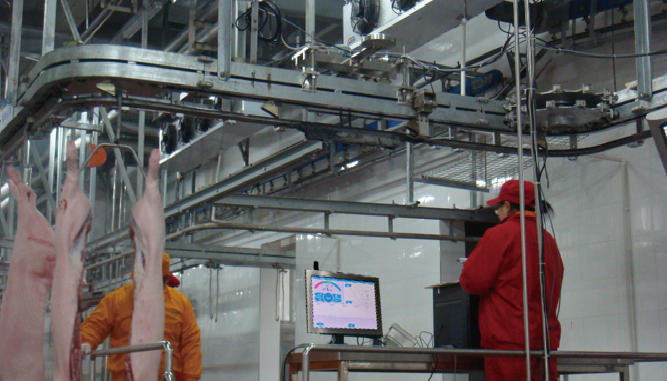 DYN-890動(dòng)態(tài)單軌衡